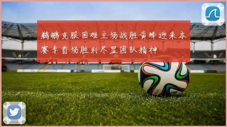 鹈鹕克服困难主场战胜黄蜂迎来本赛季首场胜利尽显团队精神